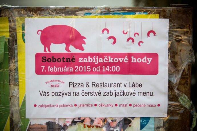 V Lábe referendovú kampaň nevidno, ružové letáky dnes pozývajú iba na zabíjačkové hody. Foto N – Matej Dugovič