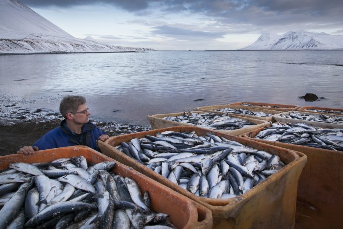 Island a Európska únia sa k spornej téme rybolovu ani nedostali. Foto - AP