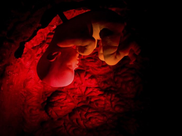 V Číne robia výskum na ľudských embryách, počas ktorého menia ich genetickú informáciu. Čo to znamená pre vedu a spoločnosť? Foto - TASR