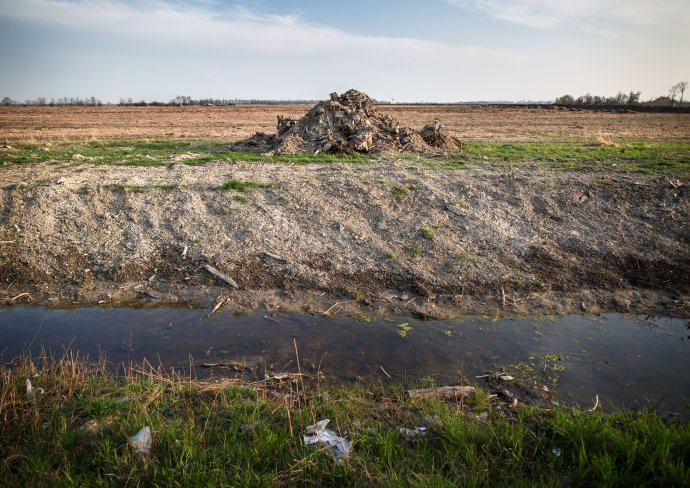 Pozemky pri Ivanke pri Dunaji. Foto N - Tomáš Benedikovič