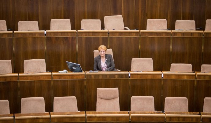 Podpredseda je občas sám. Foto N – Tomáš Benedikovič