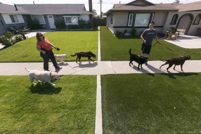 Inštalácia umelého trávnika vpravo - nevyžaduje polievanie - je dôsledkom nariadení o obmedzení spotreby vody v Kalifornii (máj 2015). FOTO - AP