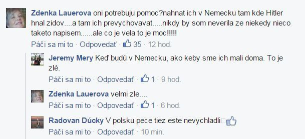 Zdenka Lauerová na Facebooku.