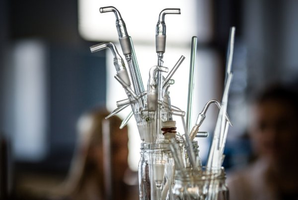 Štát nemá na chemické databázy, vedci nemôžu pracovať. Cítim sa ako slepý na hubách, vraví chemik