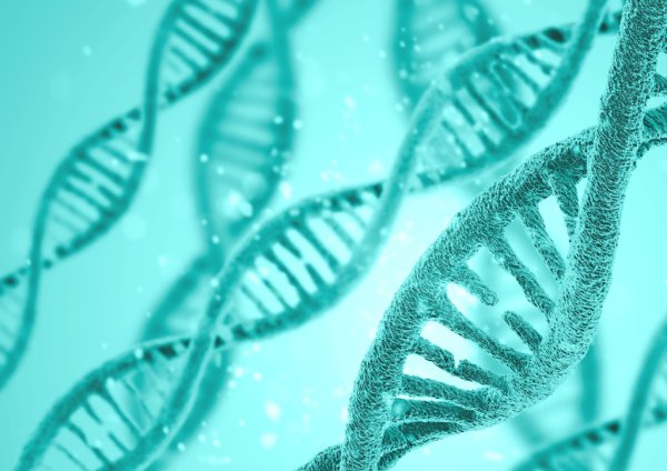 Stvoríme umelého človeka? Zas raz bojujú vedci s&nbsp;etikmi