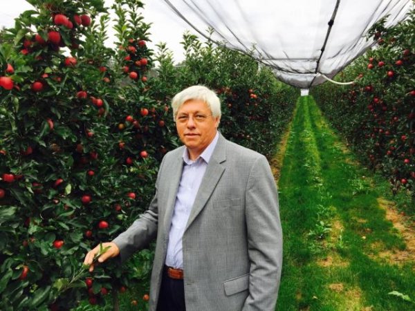 Nepoznám nášho ovocinára, ktorý by šiel stavať vilu na Bahamy