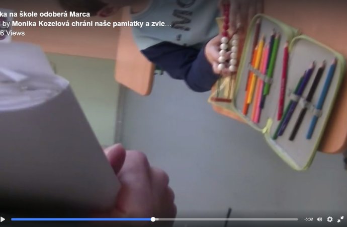Záber z videa, ktoré nakrútil vyšší súdny úradník pri odoberaní chlapca. Reprofoto - N