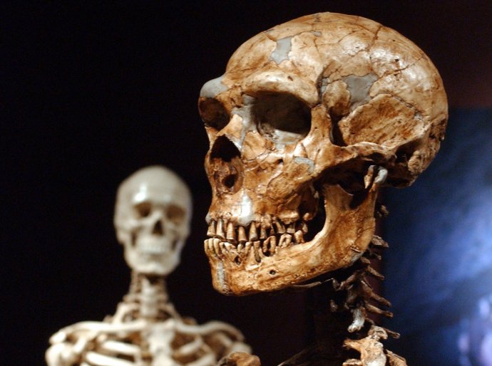 Človek a neandertálec. Foto – TASR/AP