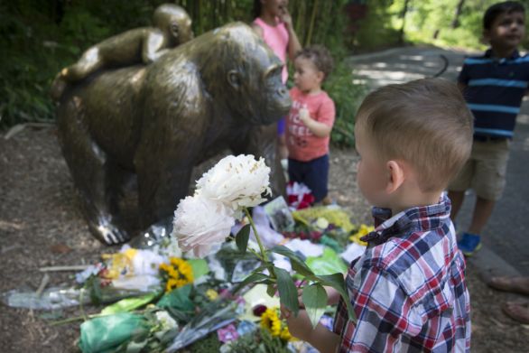 Ľudia prinášajú kvety k soche gorily v zoo v Cincinnati. Foto – AP