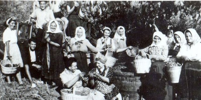 Oberačka hlohoveckého vína v 30. rokoch minulého storočia. Foto – Food Park