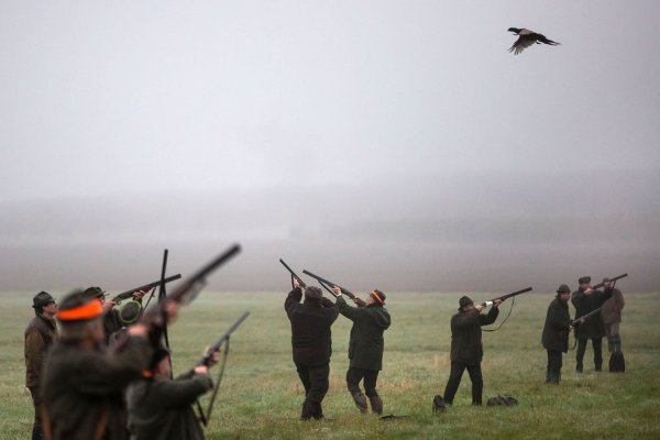 Všade sa strieľa, vedľa mňa padajú z&nbsp;neba bažanty. Ľútosť poľovník necíti