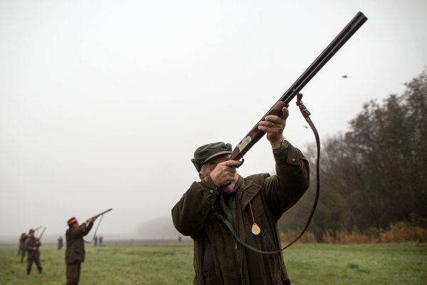 Ceremónie, nástupy, trúbenie, plašenie, streľba. Poľovačka na bažanty v&nbsp;20 obrazoch