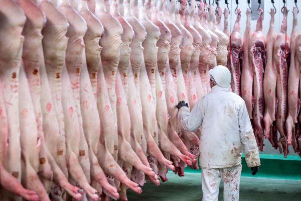 Spotreba mäsa celosvetovo rastie, vedci varujú pred negatívnymi dosahmi na životné prostredie