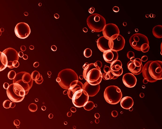 Červené krvinky. Foto - Fotolia