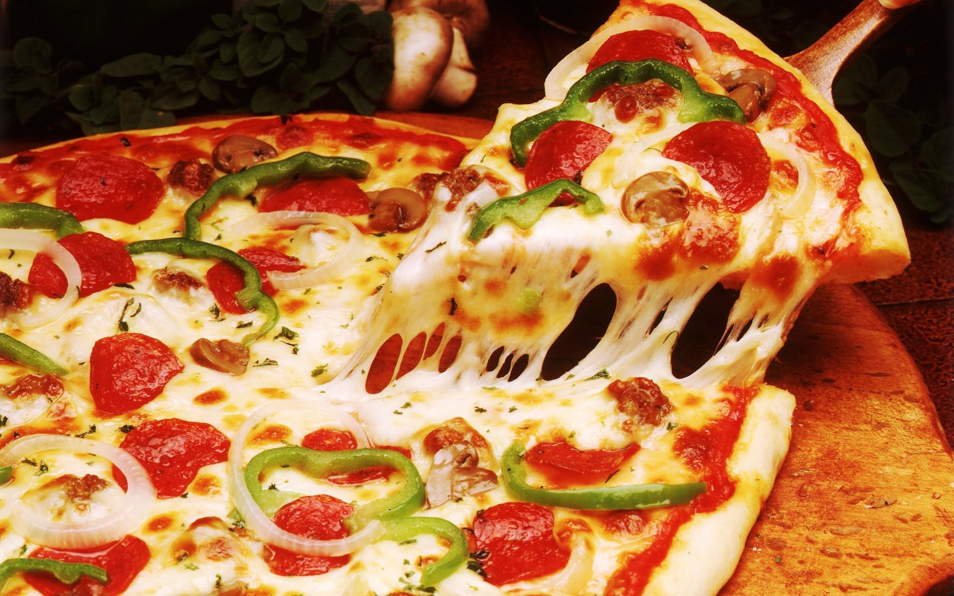 Fat Boy's Pizza Size Matters, 42% OFF | www.vdis.co