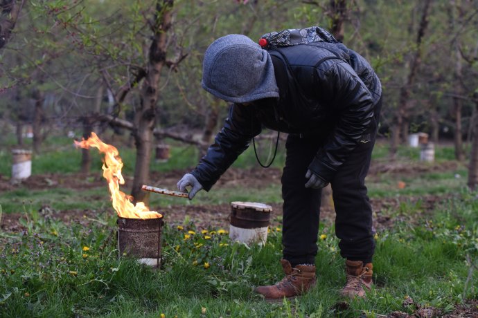 Parafínové sviece sa ovocinárom rýchlo míňajú. Foto - TASR