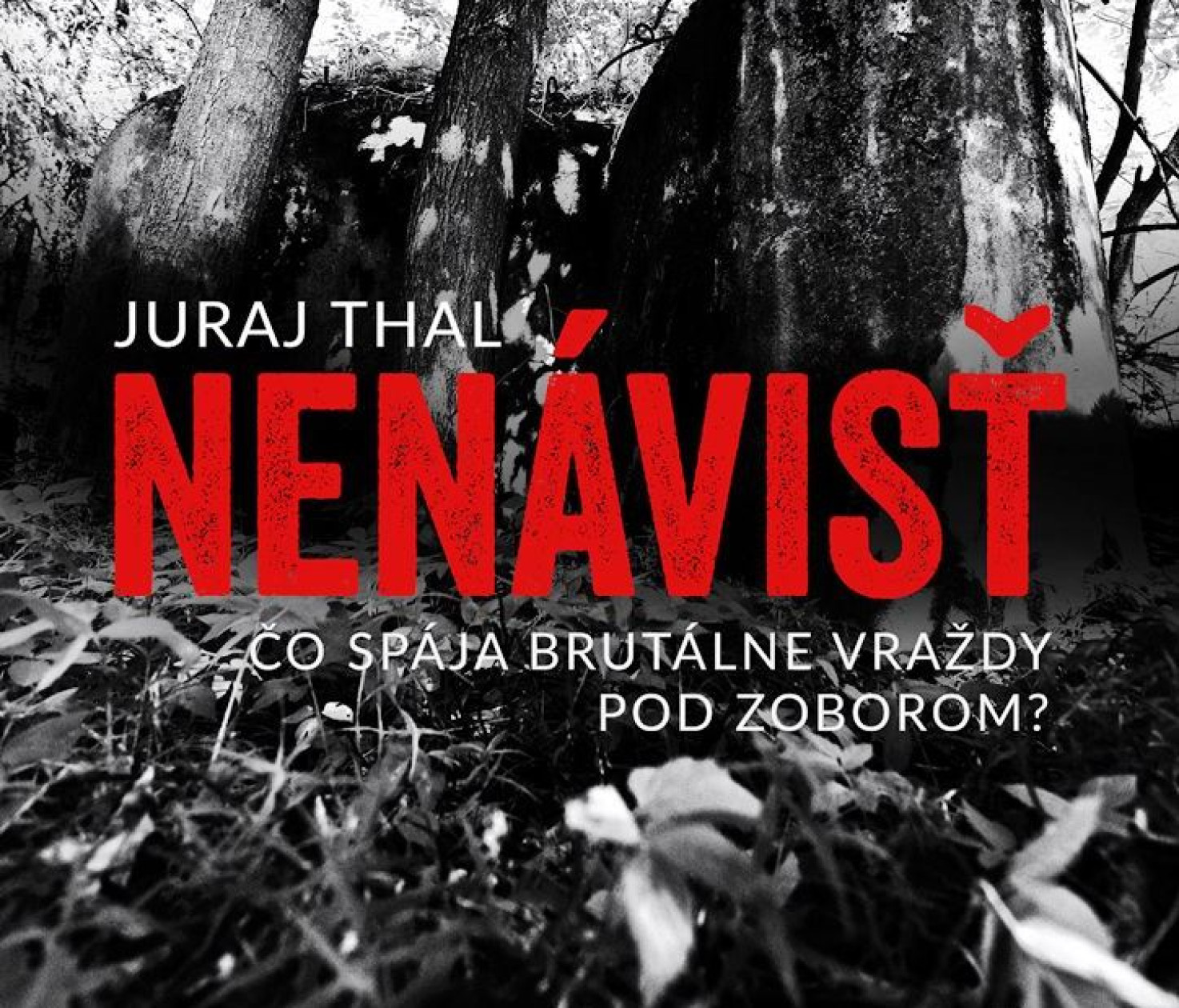 Blog N: Detektívka Nenávisť je ako severská krimi v nitrianskych ...