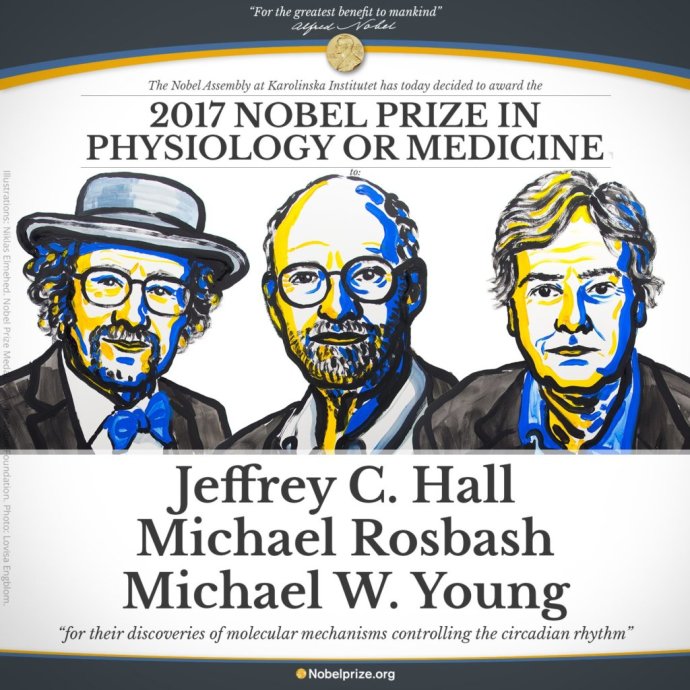 Jeffrey C. Hall, Michael Rosbash a Michael W. Young sú traja tohtoroční laureáti Nobelovej ceny za fyziológiu alebo medicínu. Foto – Nobelprize.org