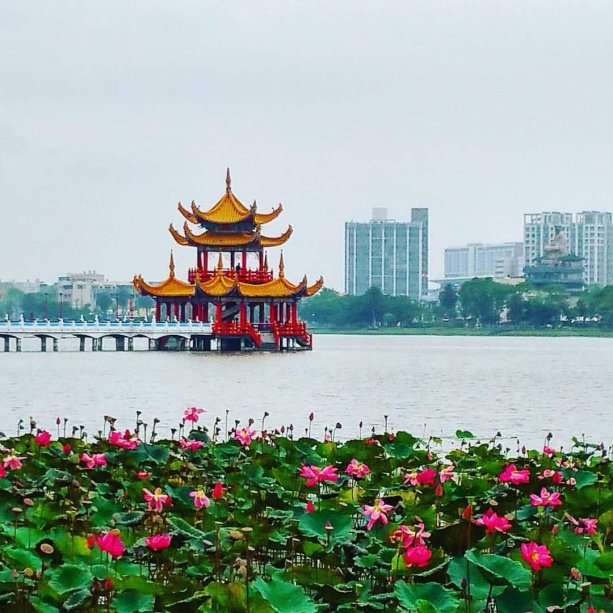 Lotosové jazero v meste Kaohsiung
