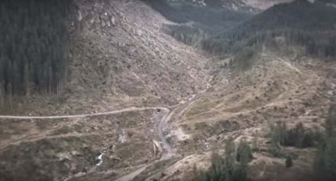 Záber z klipu kampane My sme les – Demänovská dolina.