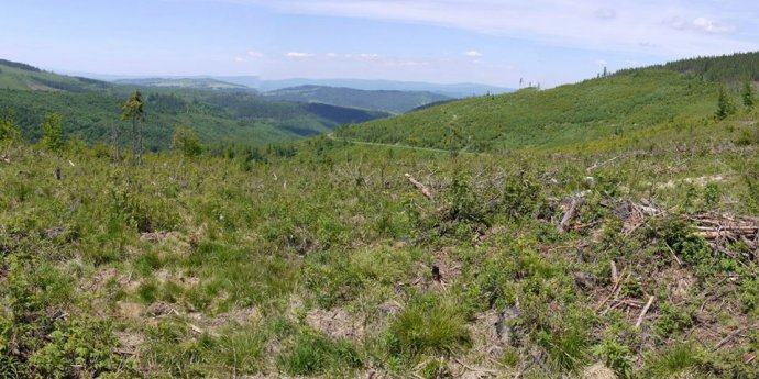 Spišská Habura, jún 2017. foto – Jozef Hrabovský