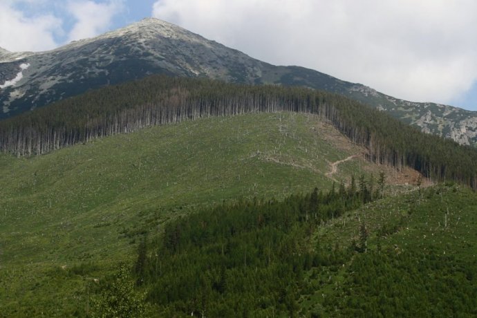 Vysoké Tatry, Národná prírodná rezervácia Skalnatá dolina, jún 2017.