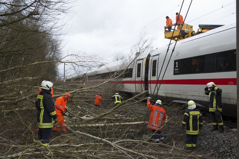 V Nemecku zastavili vlakovú dopravu, na mnohých miestach popadali na trate stromy. Foto - ap