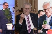 Čo zažili Česi v kampani: konšpirátora, falošné okuliare, Zemanovu päsť aj fikus v debate