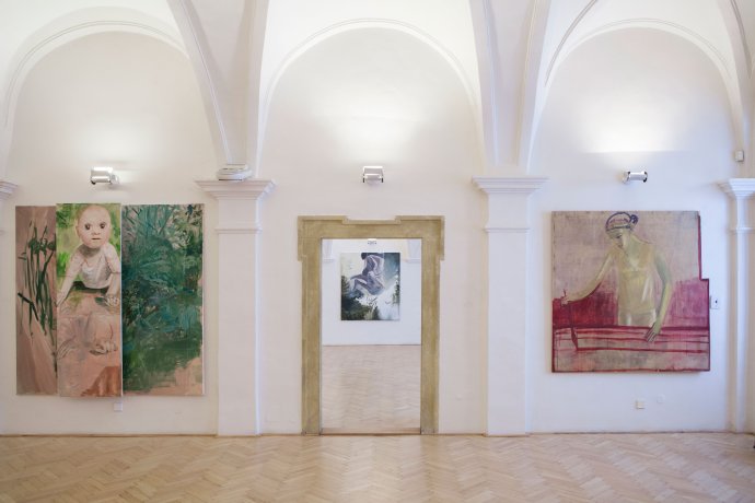 Výstava Jany Farmanovej potrvá v banskobystrickej galérii do 3. júna. Foto - Ester Šabíková