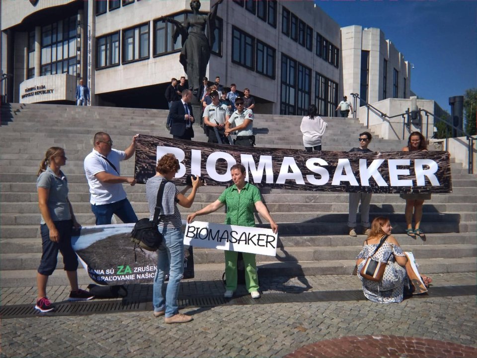 Protest proti biomasakru pred parlamentom. foto – vlk