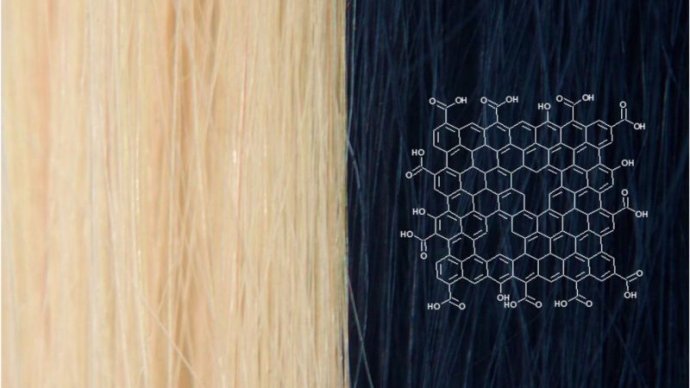 Blond vlasy pred nafarbením farbou na báze grafénu a po ňom. Foto – Chong Luo/Northwestern University