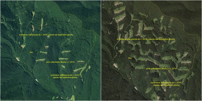 Les v Poloninách v roku 2010 a 2016. Mapy – Eurosense/Vlk