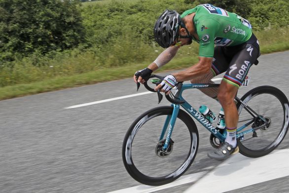 Peter Sagan v 19. etape (AP Photo/Christophe Ena)
