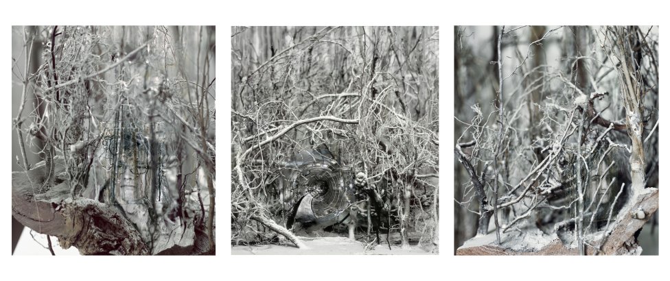 Zväčšený fotografický triptych je vlastne trojkrídlovým oltárom. Do bočných častí modelu húštinového lesa vkreslil Daniel Fischer portréty Jána Kuciaka a Martiny Kušnírovej.