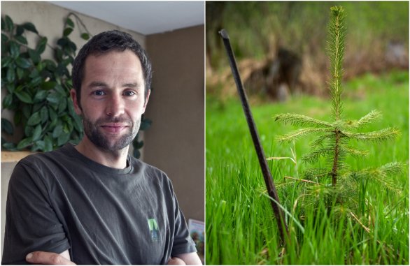Lesník Matúš Hríbik a smrek vysadený človekom. Foto N – Andrej Bán a Tomáš Benedikovič