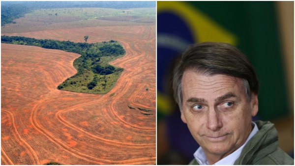 Od Amazonského pralesa závisí budúcnosť sveta. Nový prezident Brazílie ho môže ohroziť