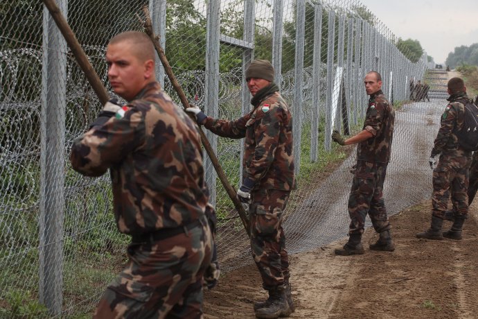 Kerítésépítés a magyar–szerb határnál 2015-ben. Fotó - Andrej Bán
