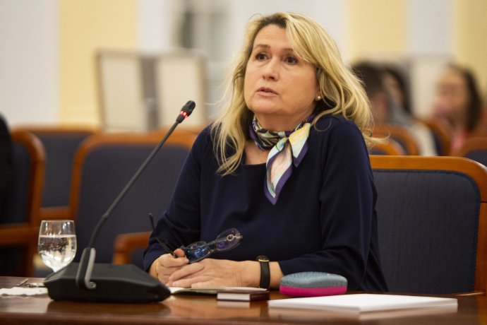 Prekvapivá kandidátka na predsedníčku Najvyššieho súdu Soňa Mesiarkinová. Foto - TASR