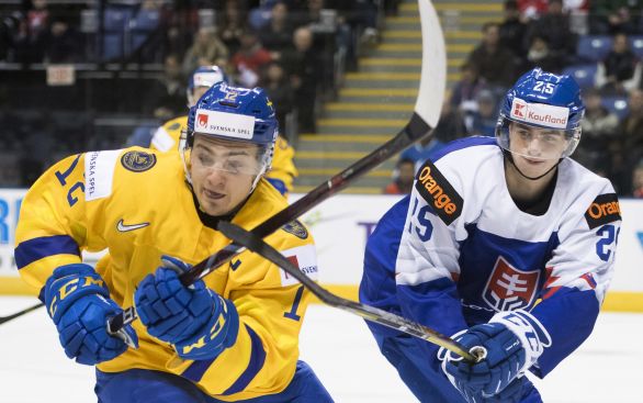 Martin Pospíšil (vpravo) v zápase proti Švédsku. Foto - TASR/AP