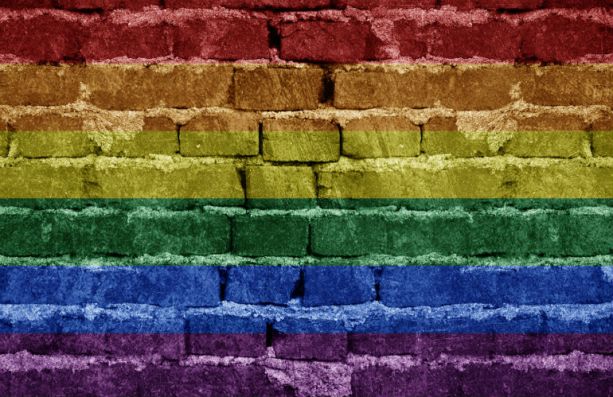 https://probonoaustralia.com.au/news/2017/04/family-rejection-major-cause-lgbti-homelessness-report/