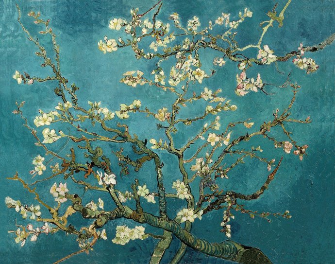 Vincent van Gogh: Kvitnúce kvety mandľovníka