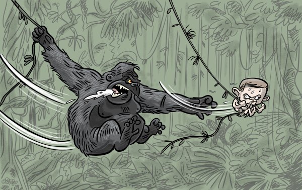 Shooty: Neľútostná džungla