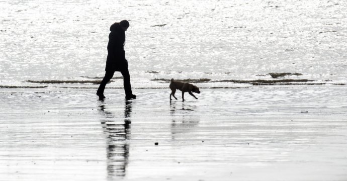 Prechádzkami so psom k zdraviu. Foto - TASR/AP