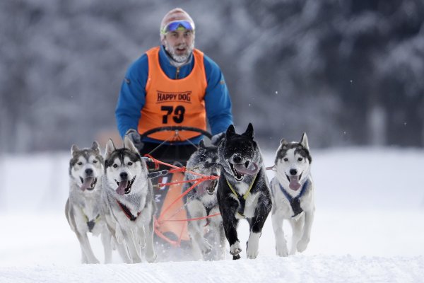 Reprezentanti v&nbsp;psích záprahoch či rybolove dostali od štátu viac ako cyklisti