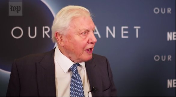 Sir David Attenborough. Foto - Washington Post/Alice Li