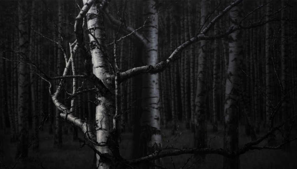 Detail jedného z najnovších obrazov Adama Šakového. Jeho diela sú realistickým záznamom nereálnej situácie. Foto - archív Adama Šakového