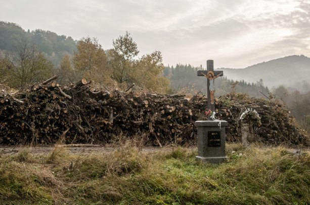 Na Slovensku sa vyťaží ročne už 10 mil. m3 dreva, to je viac ako 300-tisíc kamiónov dreva. Z toho už viac ako polovicu - 58 % predstavuje neplánovaná ťažba, tzv. náhodná, ktorú lesníci zdôvodňujú nutnosťou spracovať kalamitu. Foto: Tomáš Hulík
