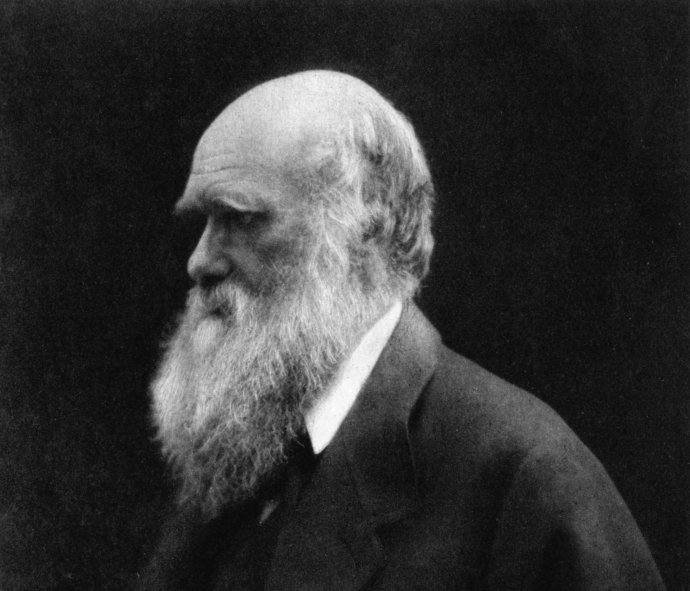 Portrét Charlesa Darwina od Julie Margaret Cameronovej. Foto – Wikimedia/public domain/cc