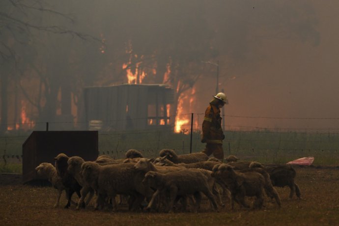 Lesné požiare v štáte Nový Južný Wales. Foto - TASR/AP