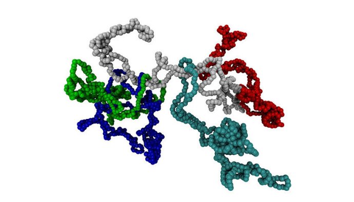 „Chuchvalec“ kruhových molekúl vizualizovaný pomocou počítačovej simulácie. Každá guľôčka je jeden monomér a rozdielne polyméry sú farebne odlíšené. Foto – Ján Smrek/Viedenská univerzita